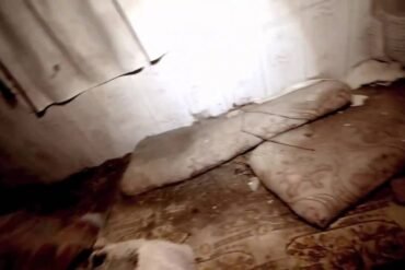 Dabbe: Bir Cin Vakası