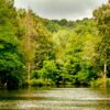 Atatürk Arboretumu