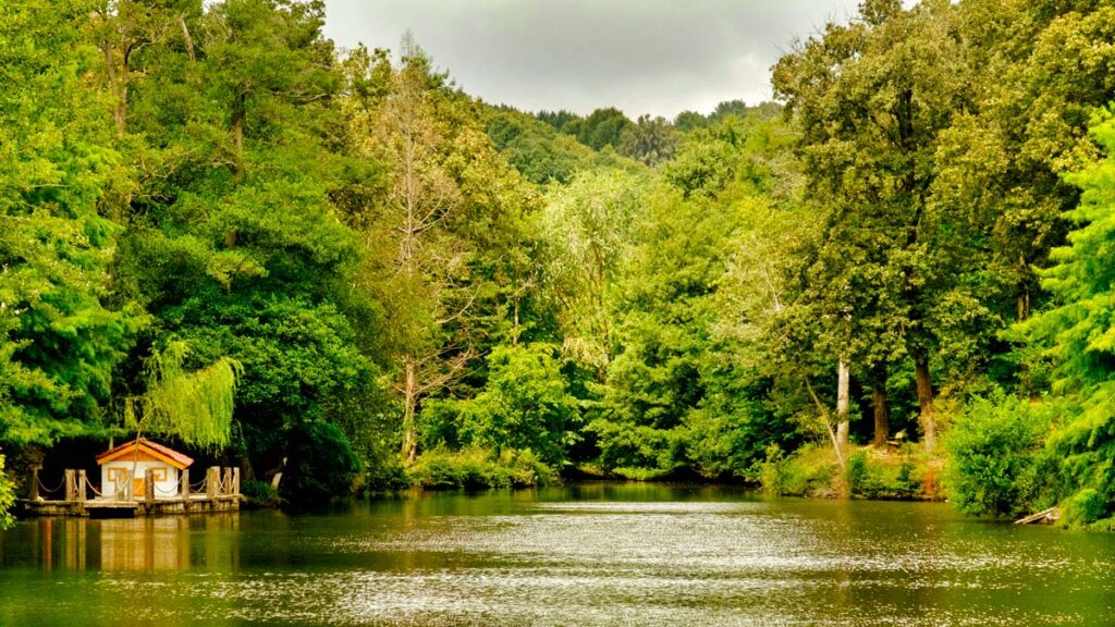 Atatürk Arboretumu