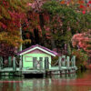 Atatürk Arboretumu İstanbul