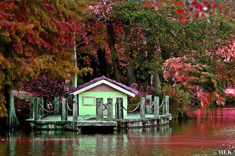 Atatürk Arboretumu İstanbul