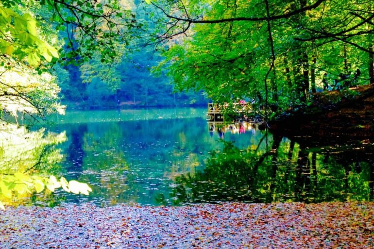 Yedigöller Fotoğraf Turu