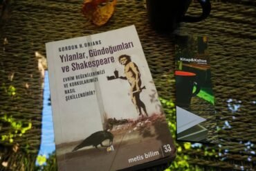 İnsanlığın Duygusal Evrimi: Yılanlar, Gündoğumları ve Shakespeare